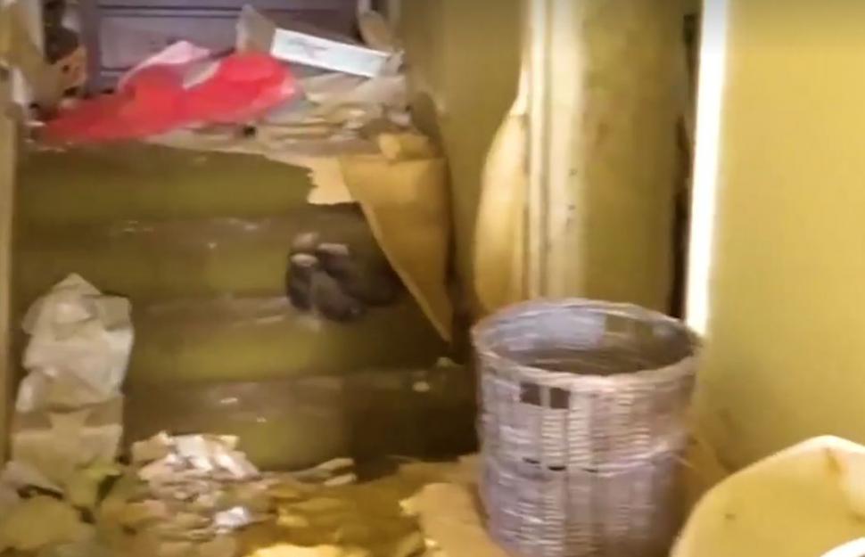 Se plimbau printr-o pădure când au dat peste o casă abandonată. Arăta ca un castel părăsit. Când au intrat înăuntru au avut un adevărat șoc. „Nu se poate așa ceva!” (GALERIE FOTO+VIDEO) 471940