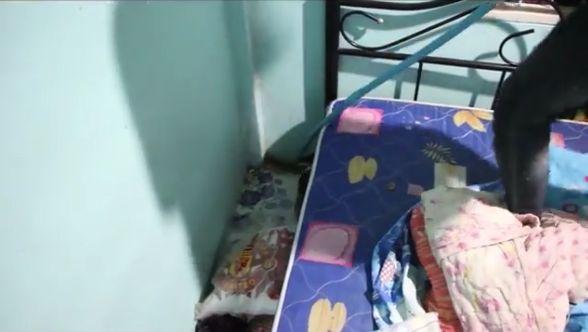 În fiecare seară, copilul auzea zgomote ciudate de sub pat. Le-a spus părinților, așa că aceștia au aruncat o privire. S-au îngrozit când au văzut ce era (GALERIE FOTO+VIDEO)  471983