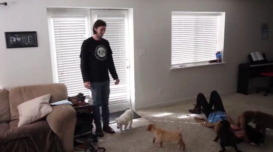 A decis să-și surprindă soția, însă nimeni nu se aștepta la asta. Când femeia a deschis ușa...„Nu mă mai duc la muncă!” (FOTO+VIDEO) 473066