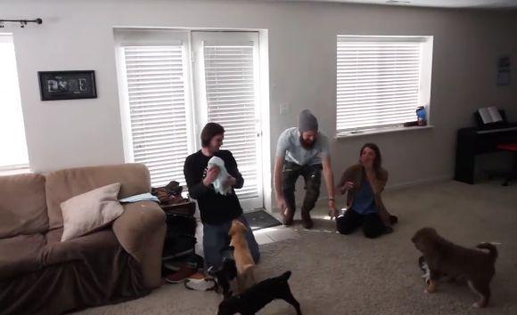 A decis să-și surprindă soția, însă nimeni nu se aștepta la asta. Când femeia a deschis ușa...„Nu mă mai duc la muncă!” (FOTO+VIDEO) 473067