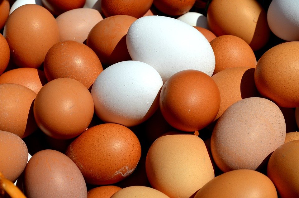 Care este diferenţa dintre ouăle albe şi cele maronii? Acum vei ști ce să cumperi