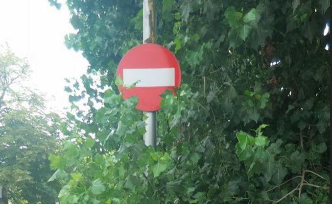 Apariție inedită pe o stradă din Constanța! Oamenilor nu le-a venit să creadă ce văd (FOTO) 474275