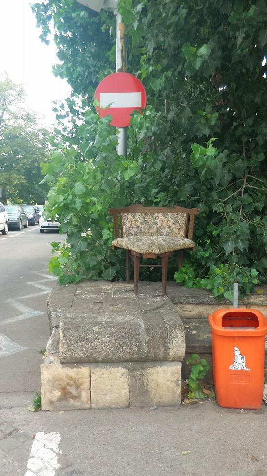 Apariție inedită pe o stradă din Constanța! Oamenilor nu le-a venit să creadă ce văd (FOTO) 474276