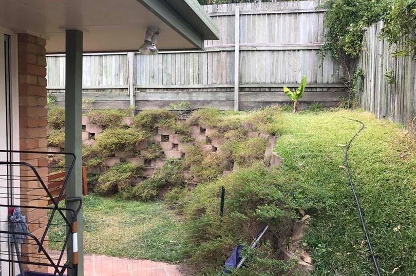 Își beau liniștiți cafeaua, când au aruncat o privire în grădină. Au avut un adevărat șoc când au văzut ce se afla acolo (FOTO) 474174