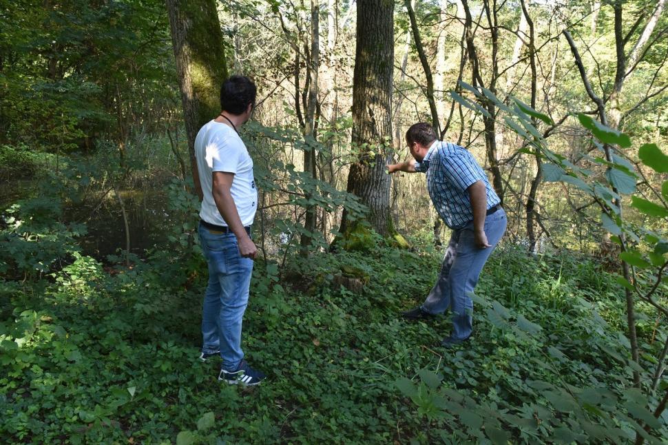 Un animal dispărut din România acum 40 de ani, a reapărut din senin. Este inedit unde și-a făcut apariția 474059