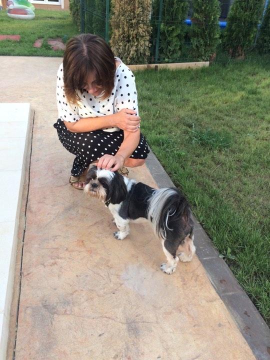 S-a aflat ce face Carmen Tănase în pauzele de la filmări. Actrița, surprinsă atunci când se aștepta mai puțin - FOTO 474655