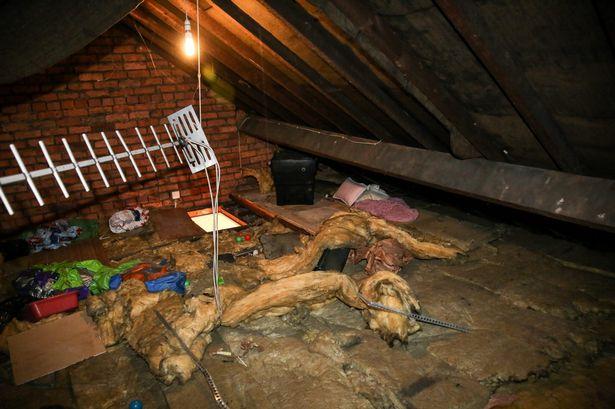 Auzea zgomote ciudate din podul casei în fiecare seară. Într-o zi, s-a decis să meargă să verifice. Când a văzut cine era acolo, a avut un adevărat șoc  476778