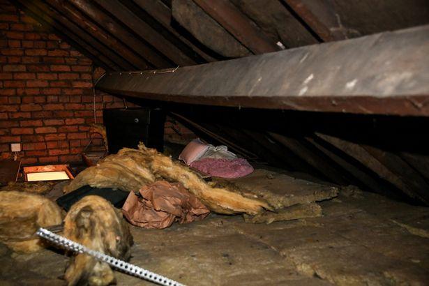 Auzea zgomote ciudate din podul casei în fiecare seară. Într-o zi, s-a decis să meargă să verifice. Când a văzut cine era acolo, a avut un adevărat șoc  476779