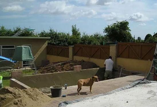 Beat criță, bărbatul a luat o lopată și a început să sape în grădină. Când și-a dat seama ce vrea să facă, soția lui a înlemnit. A chemat toți vecinii să vadă ce se întâmplă - FOTO 476737