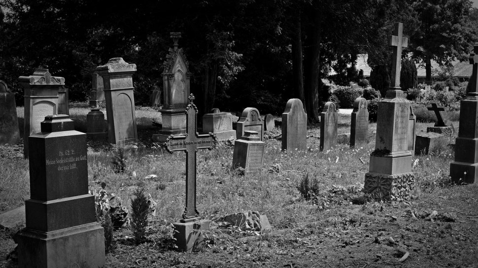 S-a dus la cimitir să pună flori la cavoul familiei, când a auzit zgomote ciudate dintr-un mormânt. S-a apropiat și a înlemnit când a văzut ce se întâmplă (FOTO+VIDEO ȘOCANT)