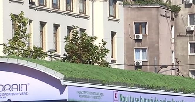 Gabriela Firea: „Îmi doresc o Capitală verde”. Peste 30 de stații de tramvai vor fi acoperite de vegetație