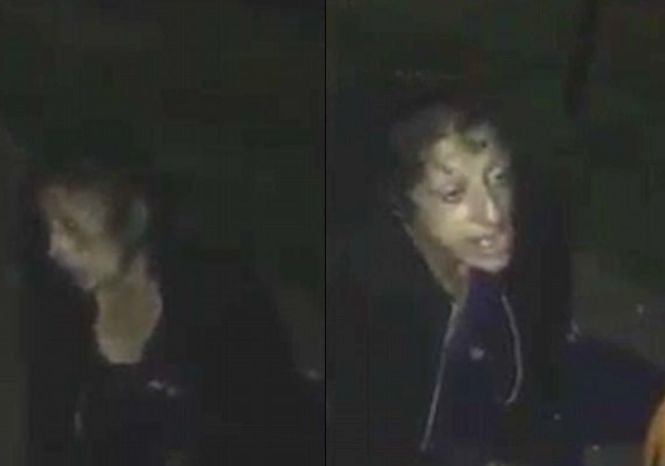 Apariție șocantă, noaptea, într-un parc. „Stătea și țipa. M-am apropiat de ea și...” - VIDEO