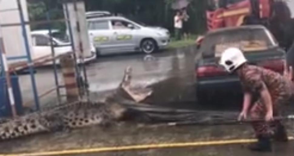 Apariție surprinzătoare într-o benzinărie. Oamenilor nu le-a venit să creadă ce le văd ochilor (FOTO+VIDEO) 478564