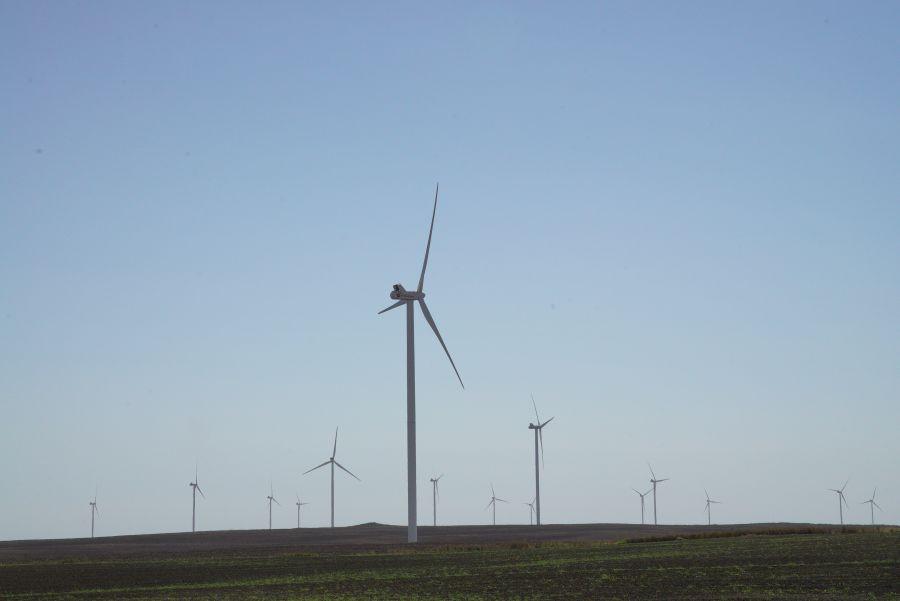 Greenpeace România și RWEA, în vizită la parcul eolian din Făcăeni 479266