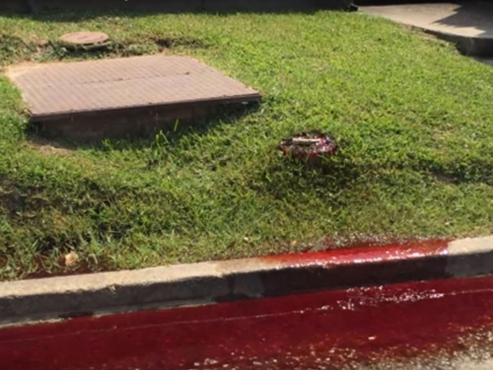 Imagini macabre! Râuri de sânge au apărut peste noapte pe strada unui oraș. Când au aflat de unde provine, localnicii au fost oripilați