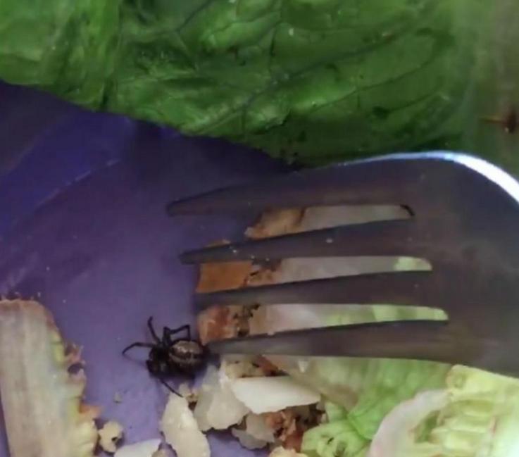 Ce a descoperit o femeie în salata gata preparată pe care a cumpărat-o. A început imediat să urle de groază: "Este viu!" - VIDEO 480367