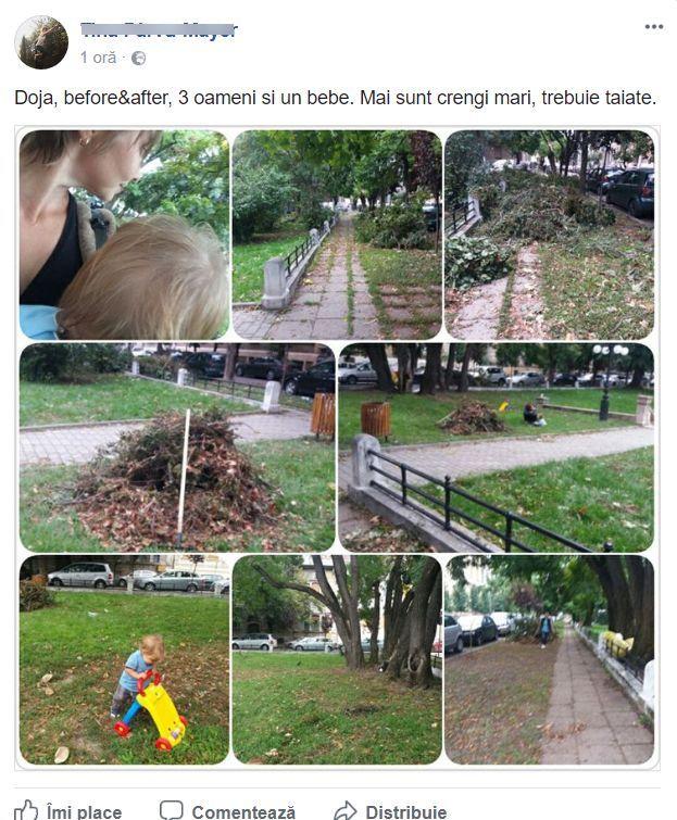 Ce se întâmplă acum la Timișoara, după furtuna devastatoare de duminică 480384