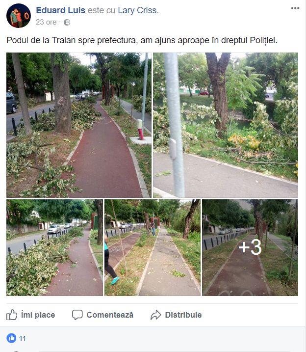 Ce se întâmplă acum la Timișoara, după furtuna devastatoare de duminică 480386