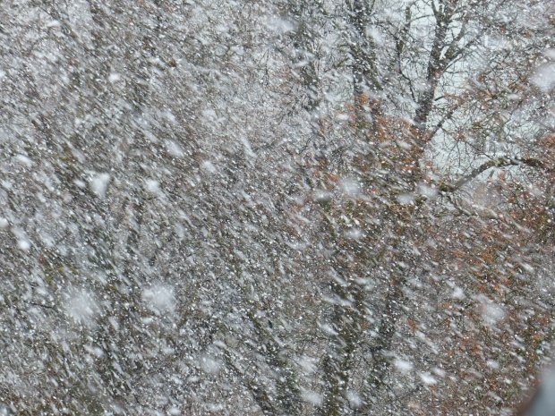 Prima ninsoare în România, în luna septembrie. Zăpada are deja câțiva centimetri