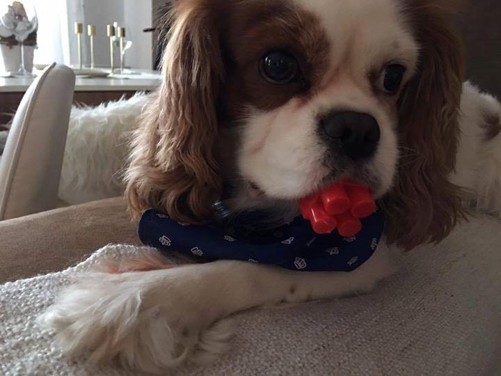 Sore, mesaj trist pe o rețea de socializare: „Postez pe net ca să îmi descarc din tristețe” 481778