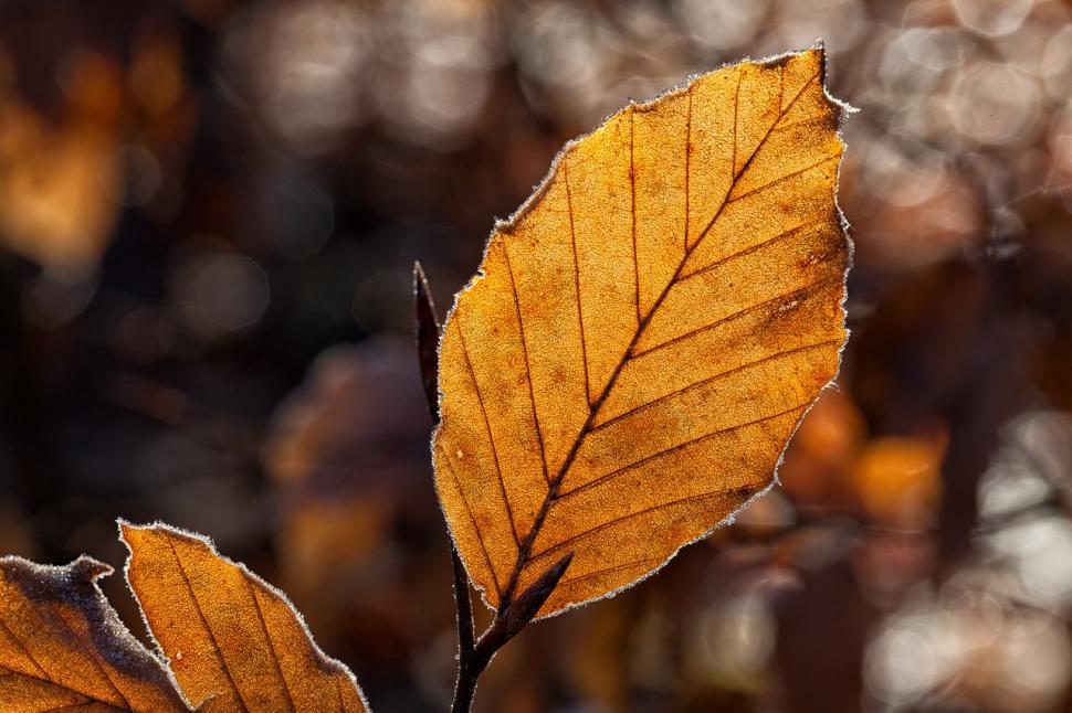 VAL DE FRIG peste România! PROGNOZA METEO pentru următoarele zile 