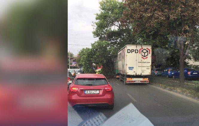 Vânt puternic în Capitală. Un copac a fost doborât peste un camion 482202