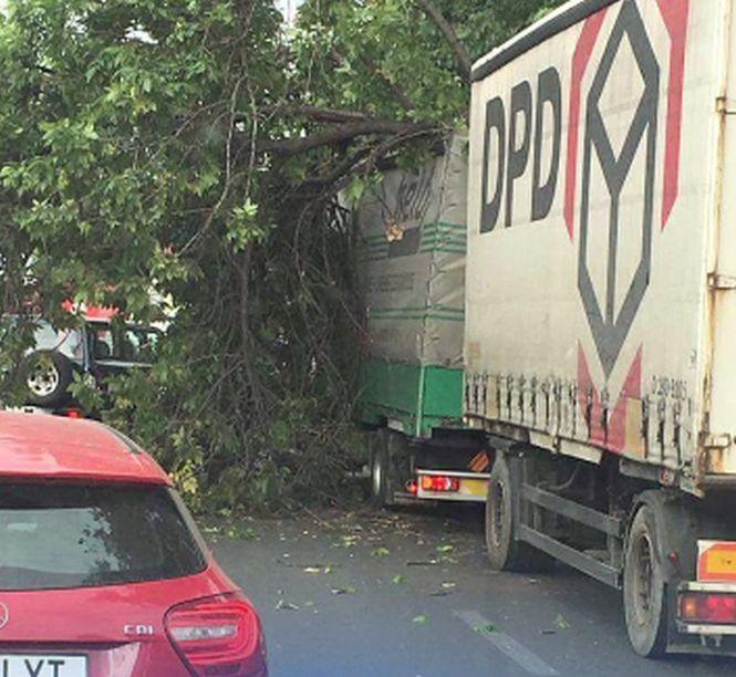 Vânt puternic în Capitală. Un copac a fost doborât peste un camion 482203