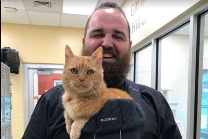 A găsit o pisică pe stradă și a dus-o la adăpost. Când se îndepărta de el, motanul începea să miorlăie de ți se rupea sufletul. Ce a făcut îngrijitorul - FOTO 484214