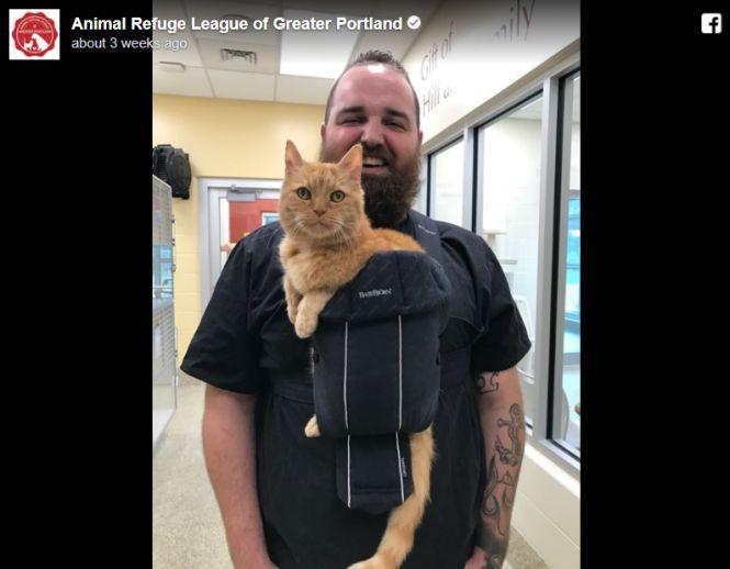 A găsit o pisică pe stradă și a dus-o la adăpost. Când se îndepărta de el, motanul începea să miorlăie de ți se rupea sufletul. Ce a făcut îngrijitorul - FOTO 484215