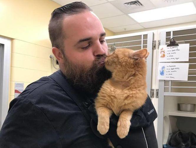 A găsit o pisică pe stradă și a dus-o la adăpost. Când se îndepărta de el, motanul începea să miorlăie de ți se rupea sufletul. Ce a făcut îngrijitorul - FOTO 484216