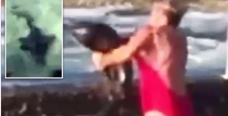 Imaginile care au devenit virale. O femeie salvează un rechin, purtându-l pe brațe până în ocean