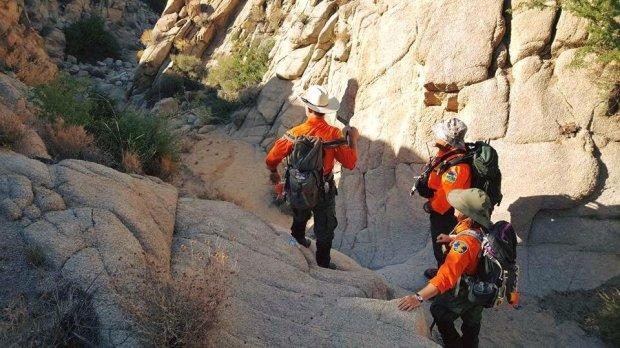 La sfârșitul lunii iulie, doi tineri au plecat într-o drumeție pe munte și nu s-au mai întors. Cum i-au găsit recent polițiștii. Erau morți, dar...  485575