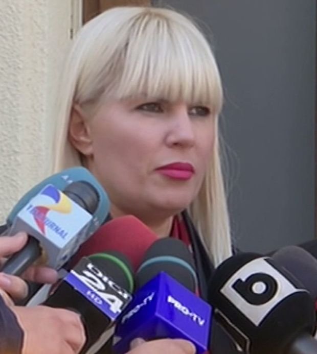Udrea scapă de acuzația de luare de mită de la Buzăianu-VIDEO