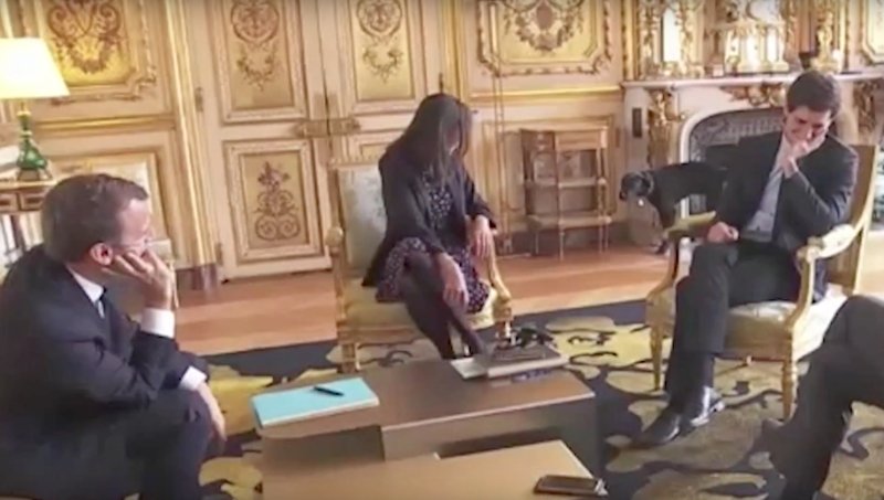 Câinele președintelui francez Emmanuel Macron, filmat când urinează pe un șemineu în timpul unei întâlniri a stăpânului său - VIDEO