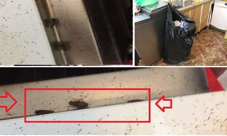 Gândaci găsiţi de Protecţia Consumatorilor într-o autoservire din Constanța. Unitatea a fost închisă imediat