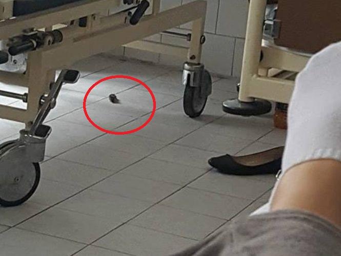 A mers la o maternitate de stat pentru a naște, dar a avut un șoc când a văzut cine era „colegul” de salon. FOTO în articol 487085