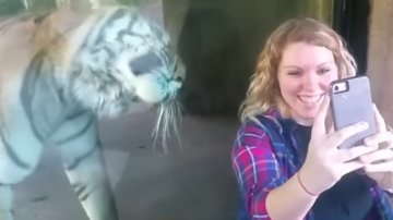 O femeie însărcinată a vrut să facă un selfie cu un tigru. S-a apropiat ușor de el, iar ce a urmat i-a lăsat pe toți fără cuvinte (FOTO+VIDEO)