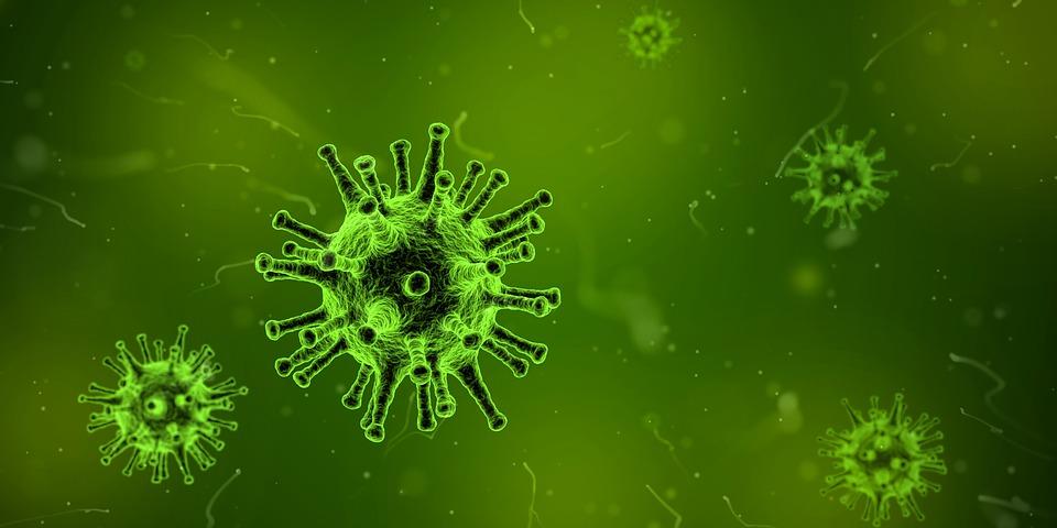 Descoperire înfiorătoare despre virusurile care provoacă leucemie