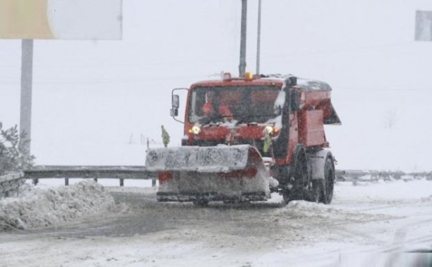 Iarnă în toată regula în România - drumuri acoperite de zăpadă și copaci puși la pământ de vânt