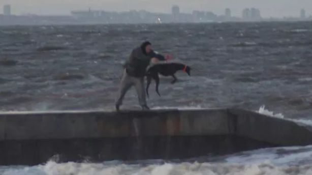 Imagini îngrozitoare, la malul mării. Un bărbat aruncă un câine în apă, de mai multe ori. Apel disperat al organizațiilor pentru protecția animalelor