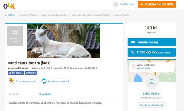 Anunțul neobișnuit dat de un român pe internet. Toată lumea a râs de el. Ce a scris bărbatul - FOTO 490521