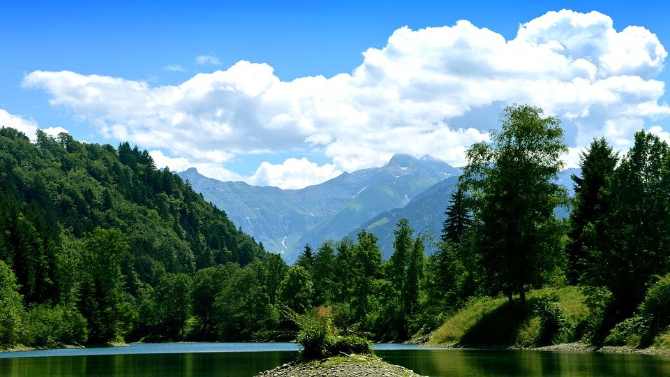 Greenpeace lansează Harta pădurilor virgine potențiale din România și studiul Situația pădurilor virgine din România