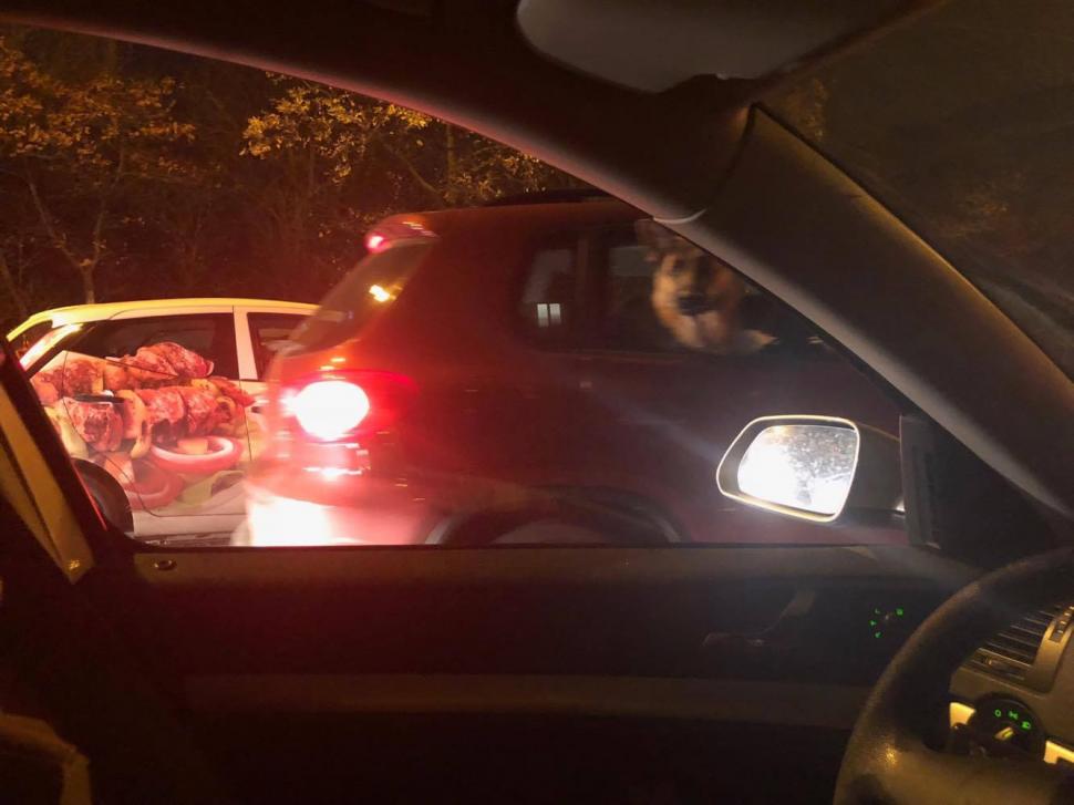 Era în coloană, la semafor. Când a văzut ce a oprit lângă el, a scos imediat telefonul să facă o poză. Ce a văzut un bucureștean - FOTO 491504