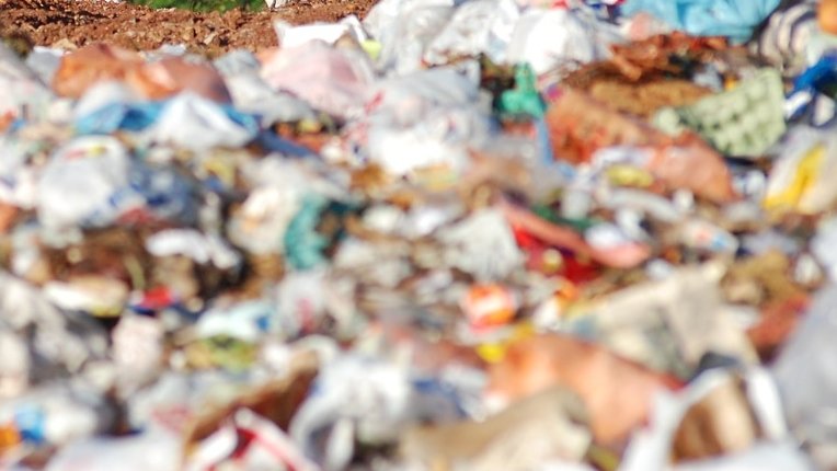 Descoperire șocantă la groapa de gunoi din Cluj. Un bărbat căuta prin gunoaie când a dat peste ceva cu totul neașteptat. A sunat imediat la 112