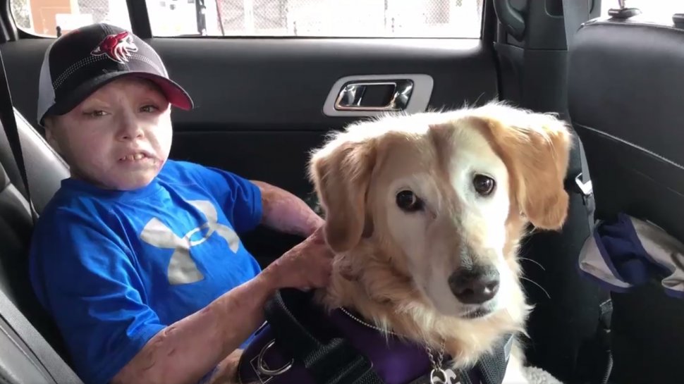 Întâlnire emoţionantă dintre un copil cu picioarele amputate şi un câine fără membre - VIDEO