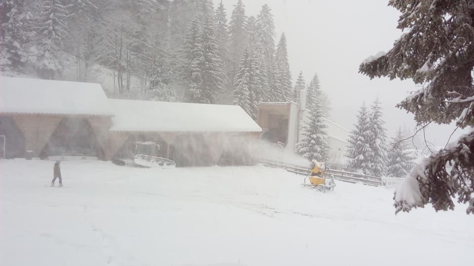 A venit iarna. Ninge ca în povești în Brașov 493787