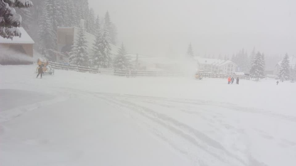 A venit iarna. Ninge ca în povești în Brașov 493788