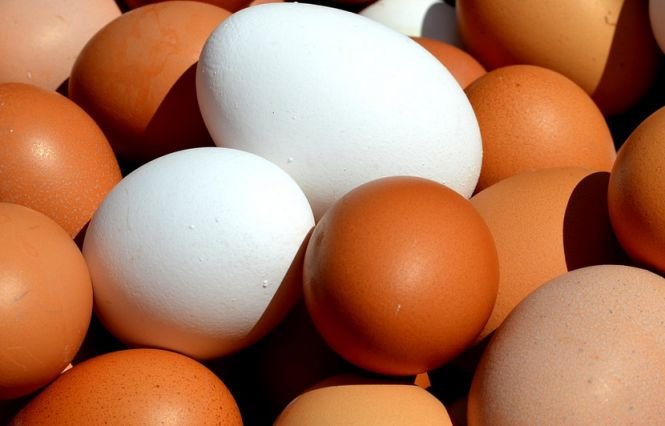 Care este diferenţa dintre ouăle cu coajă albă şi cele cu coajă maronie? Puțini știu asta!