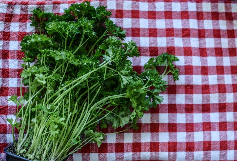 Salata de pătrunjel verde care te ajută să slăbeşti rapid şi sănătos