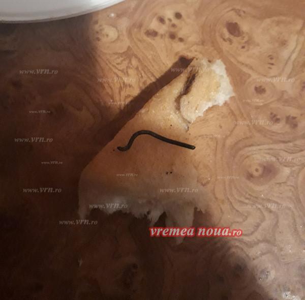 Ce a găsit un vasluian într-o pâine cumpărată de la supermarket? „Nu vreau să mă gândesc ce se întâmpla dacă o mâncam” 495485